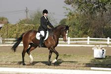 StarlightStables